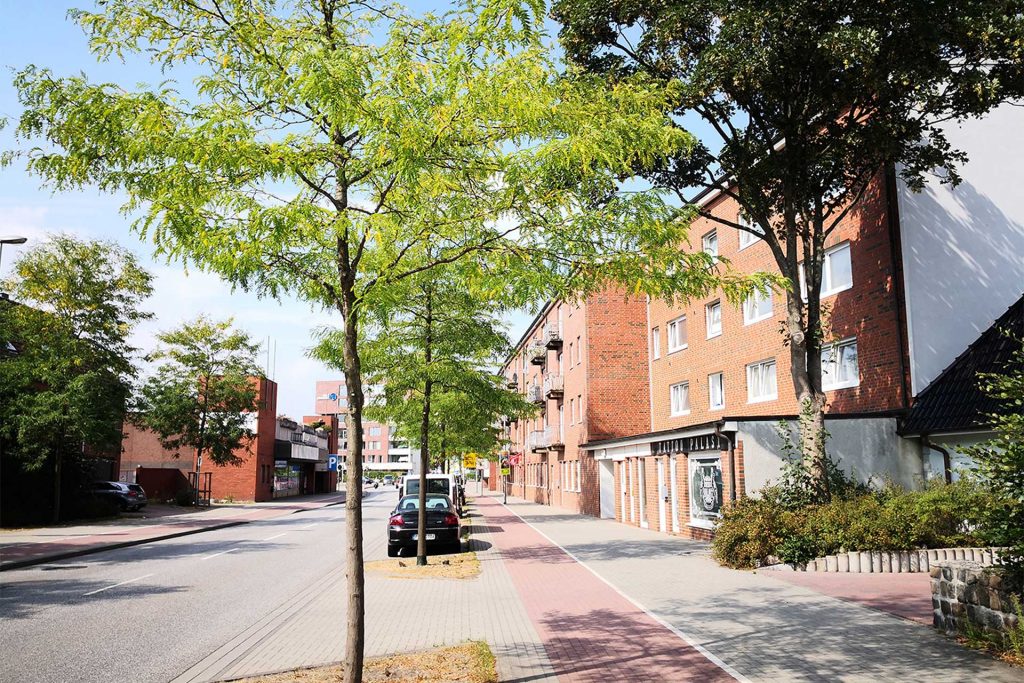 Reihenhaus mit Eigentumswohnung in Elmshorn – Außenansicht